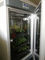 Τεχνητός επωαστήρας κιβωτίων αύξησης εγκαταστάσεων μηχανών βλάστησης σπόρου κλίματος αιθουσών αύξησης εγκαταστάσεων