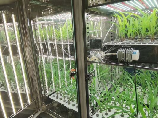 LIYI τιμή 2 πλευρικής 3 πλευρικής περιβαλλοντικής τεχνητής κλιματικής δοκιμής φωτισμού θερμοκήπιο καλλιέργειας φυτών προς πώληση